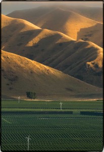 Early morning light in the Awatere Valley