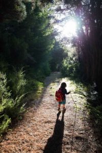 Lake Chalice Walk