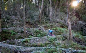 West Coast Wilderness Trail - Switchback