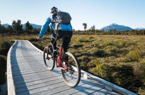 West Coast Wilderness Trail - Boardwalk