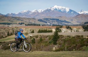 black birch mountain bike - start